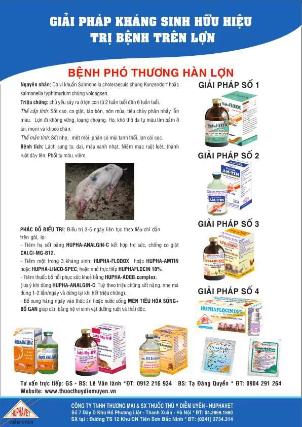 Giải pháp kháng sinh hữu hiệu trị bệnh Phó thương hàn lợn